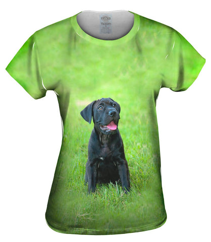 Giddy Black Mastiff