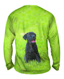 Giddy Black Mastiff