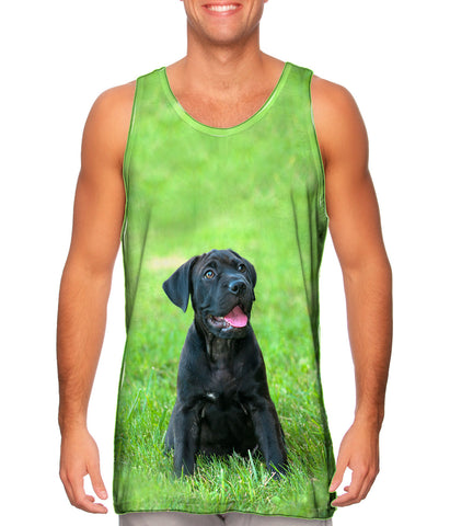 Giddy Black Mastiff
