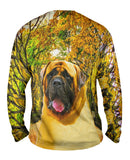 Droopy Faced Mastiff