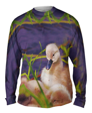 Fluffy Violet Ducks