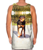 Love To Play Rottweiler