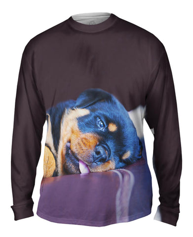 Long Night Rottweiler