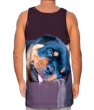 Long Night Rottweiler