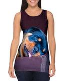 Long Night Rottweiler
