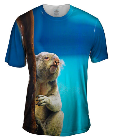 Tender Tree Koala