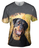 Bashful Rottweiler