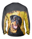 Bashful Rottweiler