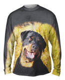 Bashful Rottweiler