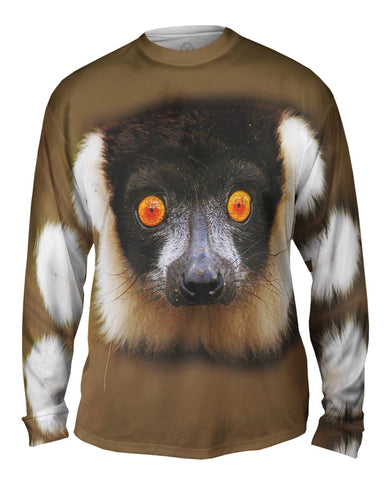 Look Into My Eyes Lemur