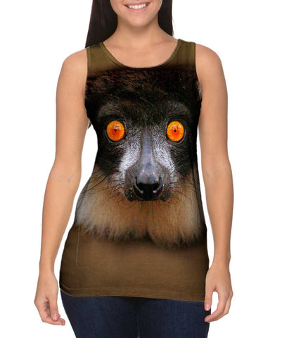 Look Into My Eyes Lemur