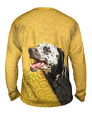 Laughing Dalmation