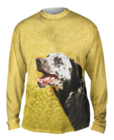 Laughing Dalmation