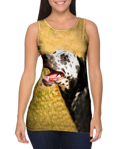 Laughing Dalmation
