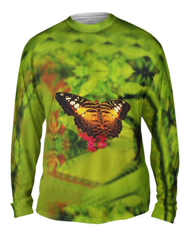 Airy Butterflies