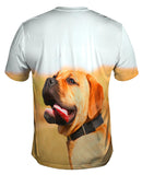 Tender Mastiff