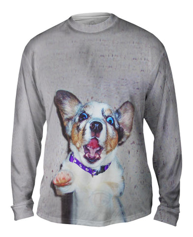 Wacky Dog
