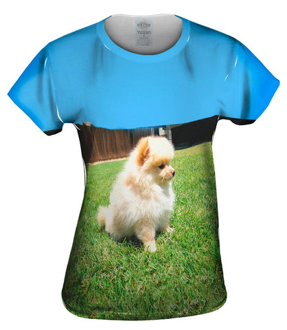 Entranced Pomeranian
