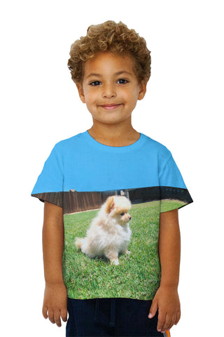 Kids Entranced Pomeranian