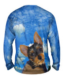 Pondering Yorkie