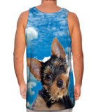 Pondering Yorkie