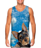 Pondering Yorkie