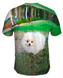 Fluffy Cotton Ball Pomeranian