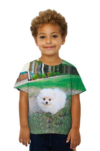 Kids Fluffy Cotton Ball Pomeranian