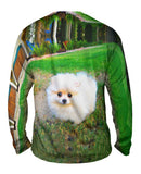 Fluffy Cotton Ball Pomeranian