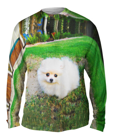 Fluffy Cotton Ball Pomeranian