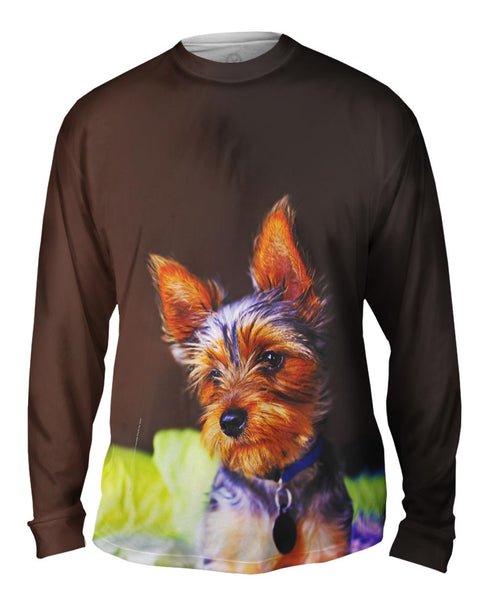 Yorkie In Deep Thought Mens Long Sleeve
