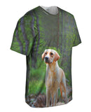 Fearless Hunter Golden Retriever