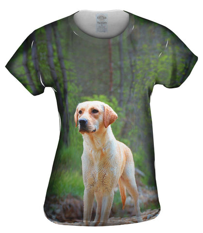 Fearless Hunter Golden Retriever