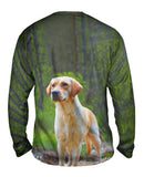 Fearless Hunter Golden Retriever