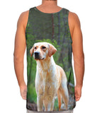 Fearless Hunter Golden Retriever
