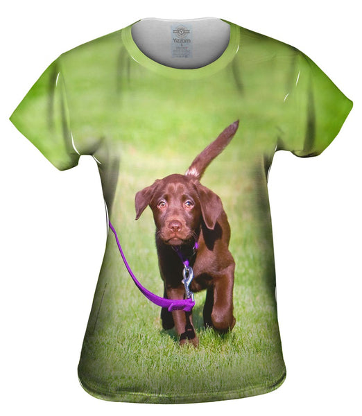 Dog Out For A Walk Womens Top