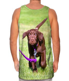 Dog Out For A Walk