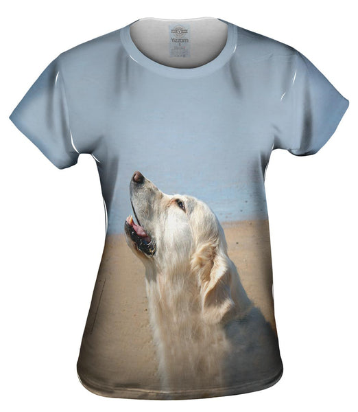 Was That A Plane Golden Lab Womens Top