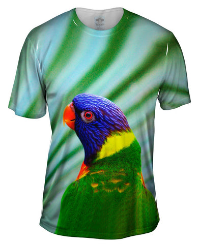 Spunky Parrot