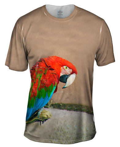 Sassy Red Parrot