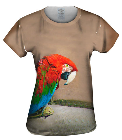 Sassy Red Parrot