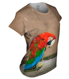 Sassy Red Parrot