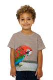 Kids Sassy Red Parrot