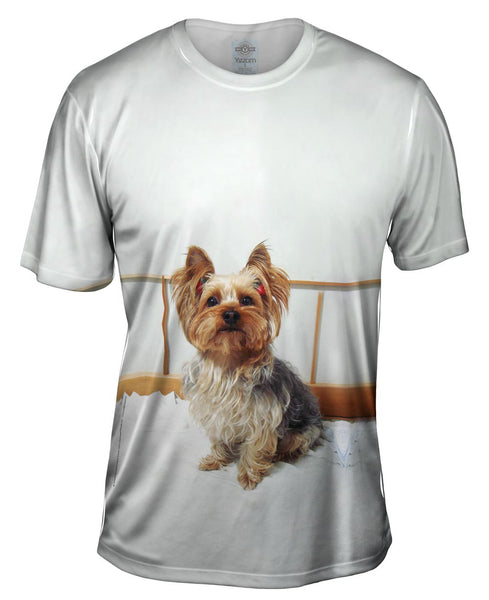 Fancy Yorkshire Terrier Mens T-Shirt