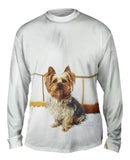 Fancy Yorkshire Terrier