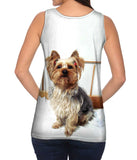 Fancy Yorkshire Terrier