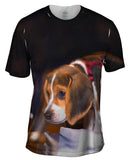 Cautious Beagle