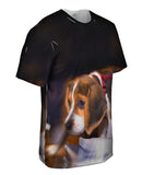 Cautious Beagle