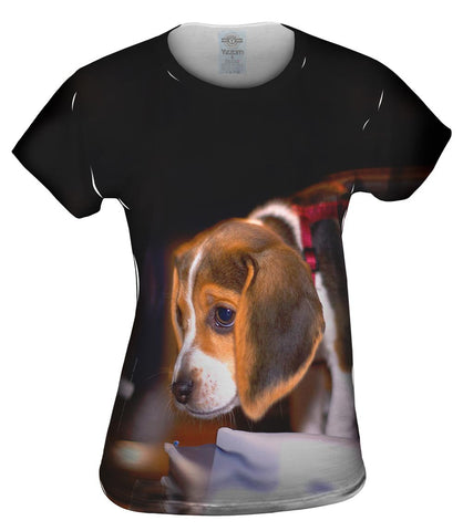 Cautious Beagle