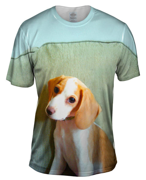 Bashful Little Beagle Mens T-Shirt